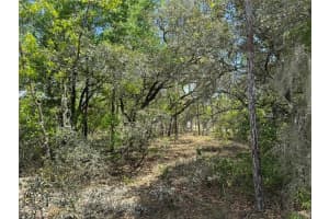 TBD BIG BEAR RIDGE, DUNNELLON, FL 34431 - MLS#MFROM698919