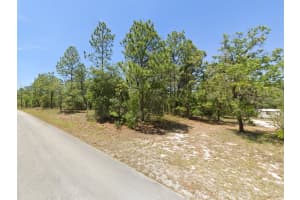 NW GERANIUM AVE, DUNNELLON, FL 34431 - MLS#MFROM698991
