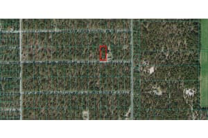 NW GERANIUM AVE, DUNNELLON, FL 34431 - MLS#MFROM698991
