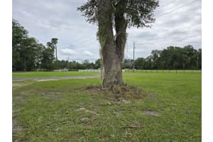 15450 NE HIGHWAY 27 ALT, WILLISTON, FL 32696 Sold 10/15/25
