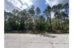 SW 89 CIR, OCALA, FL 34473 - MLS#MFROM699087