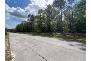 SW 89 CIR, OCALA, FL 34473 - MLS#MFROM699087
