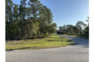 0 49TH LANE, OCALA, FL 34473 - MLS#MFROM699091