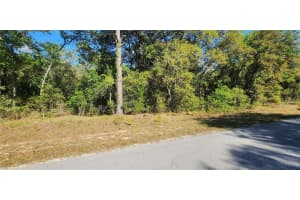 TBD VIBURNUM ROAD, DUNNELLON, FL 34431 - MLS#MFROM699097