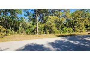 TBD VIBURNUM ROAD, DUNNELLON, FL 34431 - MLS#MFROM699097