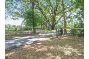 10498 Sw 18th Ter, OCALA