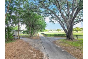 10498 18TH TERRACE, OCALA, FL 34476 - MLS#MFROM699113