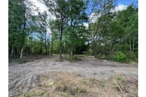 NW 4TH ST, OCALA, FL 34482 - MLS#MFROM699139