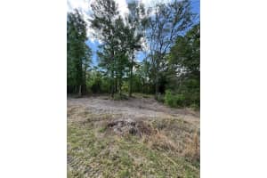 NW 4TH ST, OCALA, FL 34482 - MLS#MFROM699139