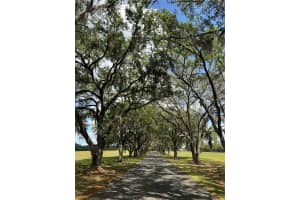 TDB SE 7TH COURT ROAD, OCALA, FL 34480 - MLS#MFROM699151