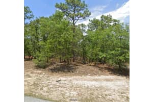 7160 IRELAND DRIVE, CITRUS SPRINGS, FL 34434 Sold 04/30/25