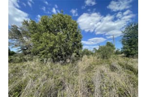 TBD 54TH AVENUE ROAD, OCALA, FL 34473 - MLS#MFROM699200