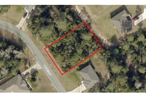 00 161ST LOOP, OCALA, FL 34473 Sold 06/06/25