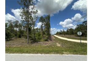 TBD 10TH ST AND SE 148TH TERRACE, WILLISTON, FL 32696 Sold 05/12/25