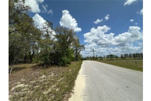 TBD 10TH ST AND SE 148TH TERRACE, WILLISTON, FL 32696 Sold 05/12/25