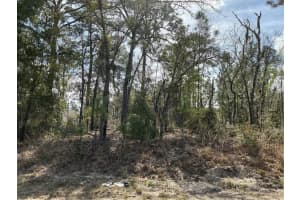 0 LOCUST LOOP COURSE, OCALA, FL 34472 Sold 09/16/25