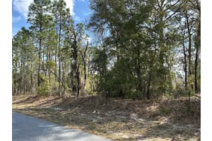0 LOCUST LOOP COURSE, OCALA, FL 34472 Sold 09/16/25