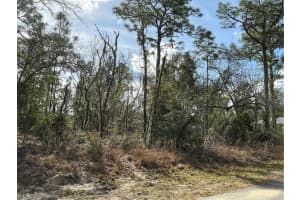 0 LOCUST LOOP COURSE, OCALA, FL 34472 Sold 09/16/25