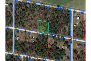 13371 9TH STREET, WILLISTON, FL 32696 Sold 07/15/25