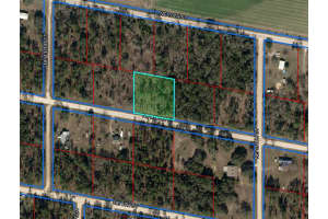 13371 9TH STREET, WILLISTON, FL 32696 Sold 07/15/25