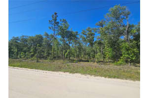 13371 9TH STREET, WILLISTON, FL 32696 Sold 07/15/25