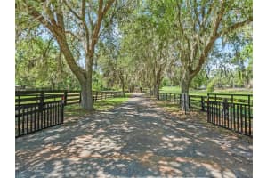 1320 140TH AVENUE, OCALA, FL 34481 Sold 05/06/25