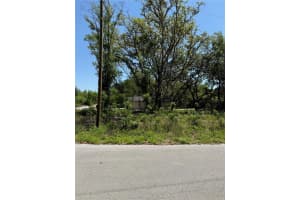 TBD LOCUST DRIVE TRAIL, OCALA, FL 34472 - MLS#MFROM699381