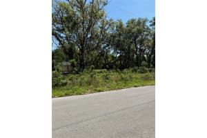 TBD LOCUST DRIVE TRAIL, OCALA, FL 34472 - MLS#MFROM699381