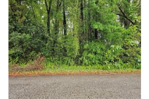 00 55 AVENUE, OCALA, FL 34482 - MLS#MFROM699438