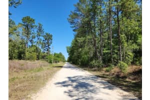SW 64TH LN, OCALA, FL 34481 Sold 07/16/25
