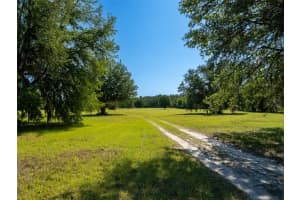 11420 110TH AVENUE, REDDICK, FL 32686 - MLS#MFROM699513