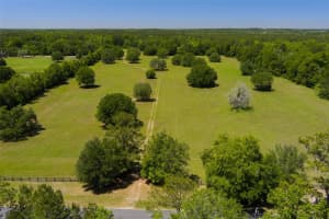 11420 110TH AVENUE, REDDICK, FL 32686 - MLS#MFROM699513