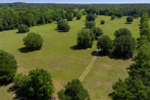 11420 110TH AVENUE, REDDICK, FL 32686 - MLS#MFROM699513