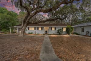 18027 90TH STREET, OCKLAWAHA, FL 32179 Sold 07/11/25