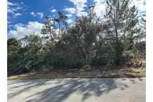 SW 178TH STREET ROAD, OCALA, FL 34473 Sold 07/14/25