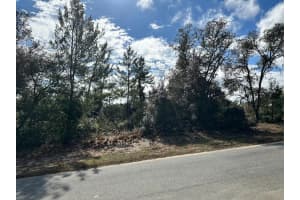 SW 178TH STREET ROAD, OCALA, FL 34473 Sold 07/14/25