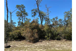 0 175TH LOOP, OCALA, FL 34473 Sold 08/08/25