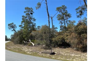 0 175TH LOOP, OCALA, FL 34473 Sold 08/08/25