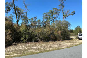 0 175TH LOOP, OCALA, FL 34473 Sold 08/08/25