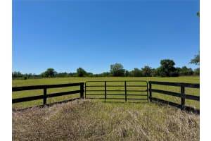 TBD(10.87ac) 115 AVENUE, OCALA, FL 34482 - MLS#MFROM699694