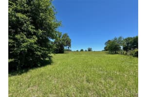 TBD(10.87ac) 115 AVENUE, OCALA, FL 34482 - MLS#MFROM699694