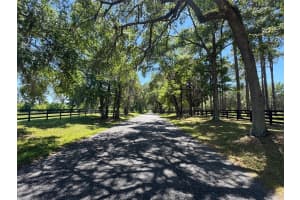 TBD(21.76ac) 115 AVENUE, OCALA, FL 34482 - MLS#MFROM699739