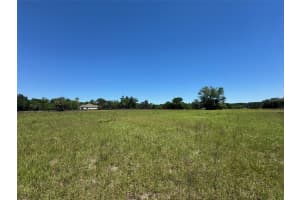 TBD(21.76ac) 115 AVENUE, OCALA, FL 34482 - MLS#MFROM699739