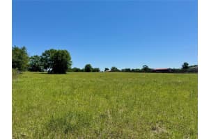 TBD(21.76ac) 115 AVENUE, OCALA, FL 34482 - MLS#MFROM699739
