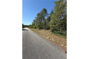 6526 SHAFTON TERRACE, CITRUS SPRINGS, FL 34433 - MLS#MFROM699764