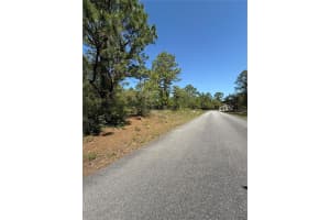 6526 SHAFTON TERRACE, CITRUS SPRINGS, FL 34433 - MLS#MFROM699764