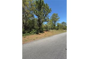 6526 SHAFTON TERRACE, CITRUS SPRINGS, FL 34433 - MLS#MFROM699764