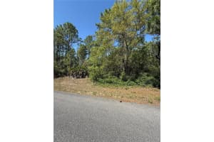 6526 SHAFTON TERRACE, CITRUS SPRINGS, FL 34433 - MLS#MFROM699764