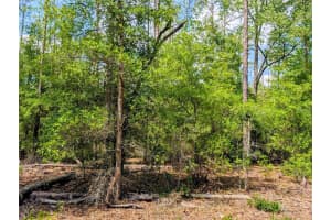 TBD SW 93TH LANE, DUNNELLON, FL 34431 - MLS#MFROM699779