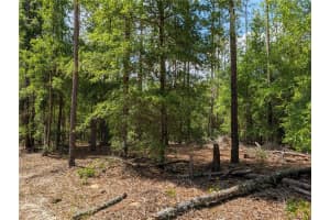 TBD SW 93TH LANE, DUNNELLON, FL 34431 - MLS#MFROM699779